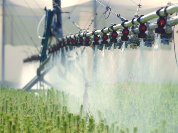 automatic irrigation