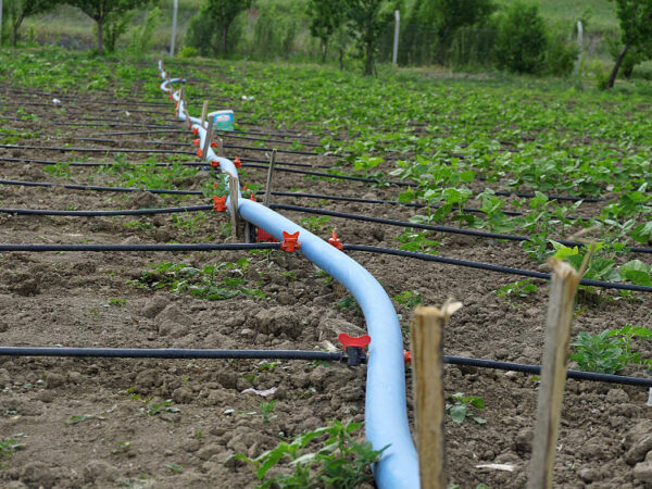 Discover the Benefits of High-Quality Irrigation Hose Pipes