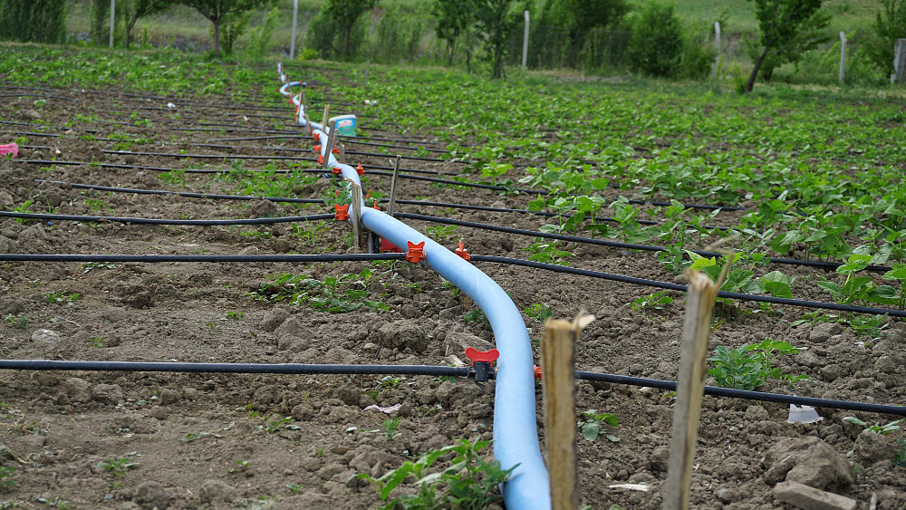 Discover the Benefits of High-Quality Irrigation Hose Pipes