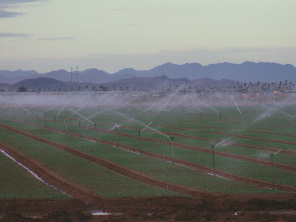 Choosing the Right Irrigation System for Peak Agricultural Success