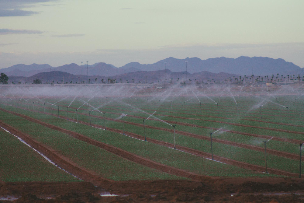 Choosing the Right Irrigation System for Peak Agricultural Success