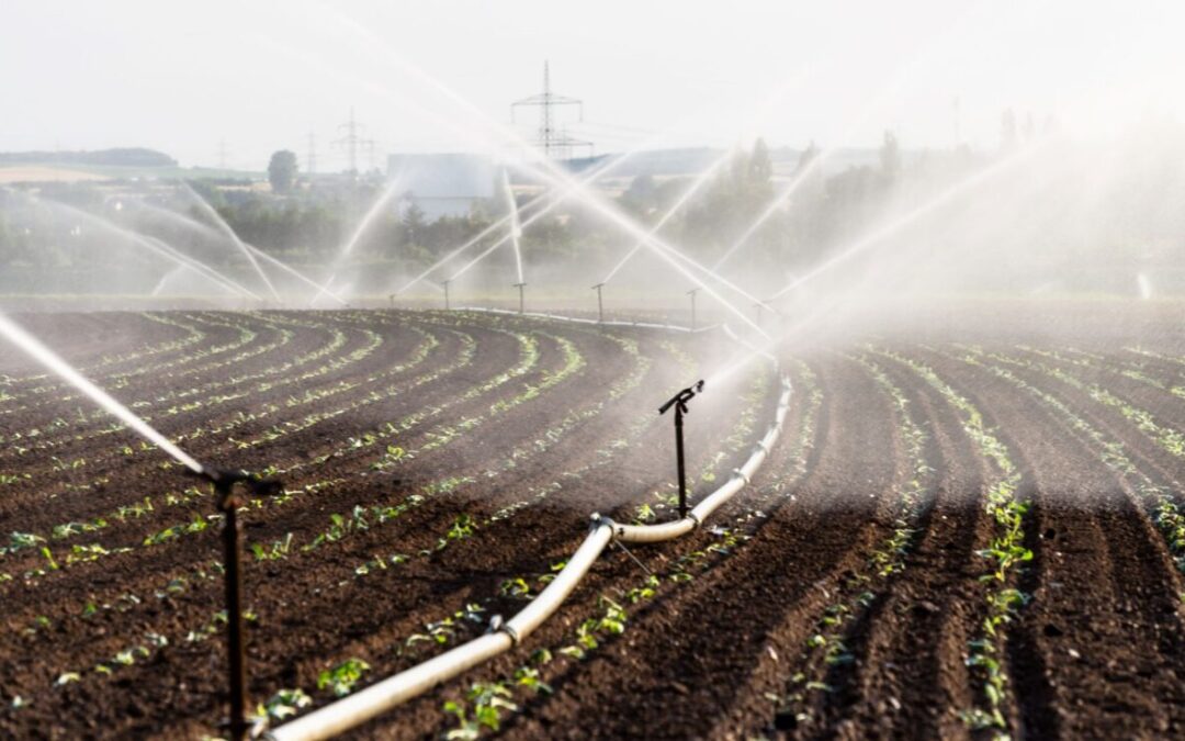 Irrigation Systems- Identify These Signs and Repair Your Irrigation System