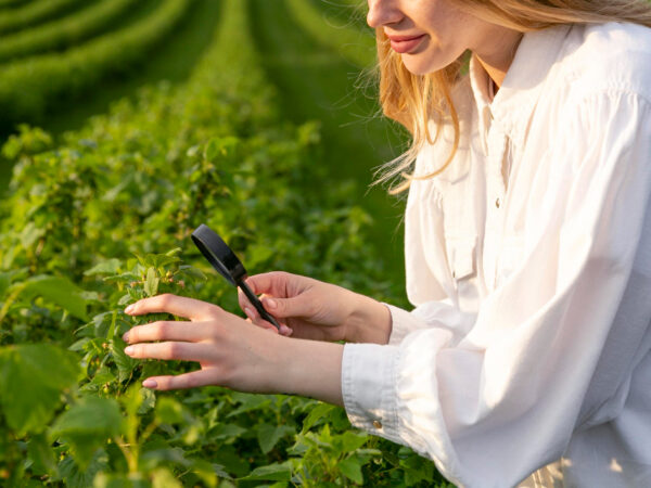 Encouraging Agriculture Sector Though Automated Irrigation Systems